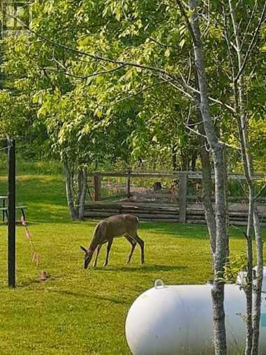 2343 Bay Estates Road N, Sheguiandah, Ontario  P0P 1K0 - Photo 9 - 2126697