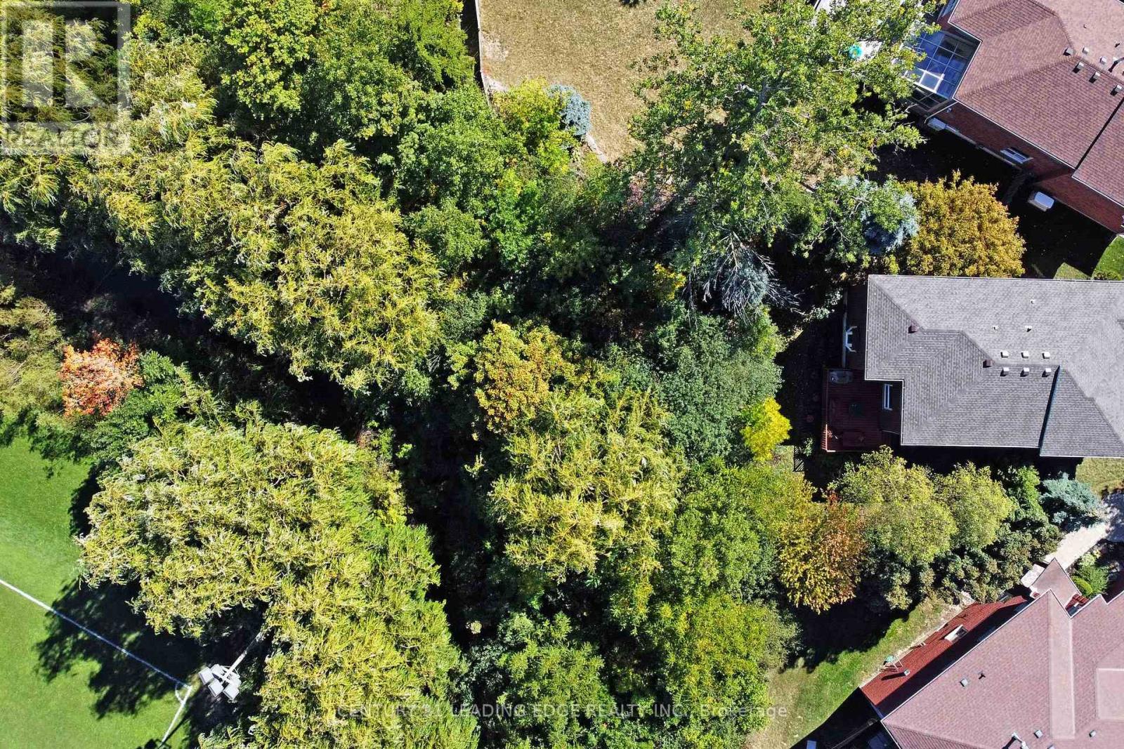 34 Pandora Court, Richmond Hill, Ontario  L4S 1J4 - Photo 46 - N12850254