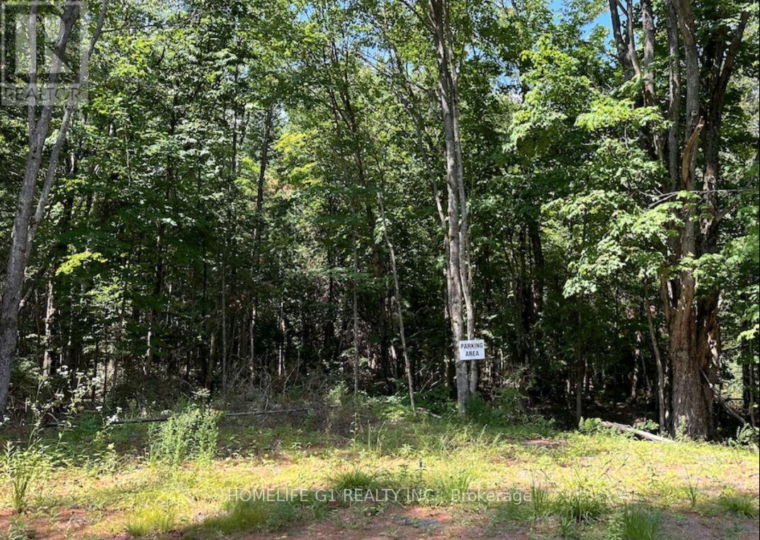 15 Axe Lake Road, Mcmurrich/monteith, Ontario  P0A 1Y0 - Photo 10 - X12850306