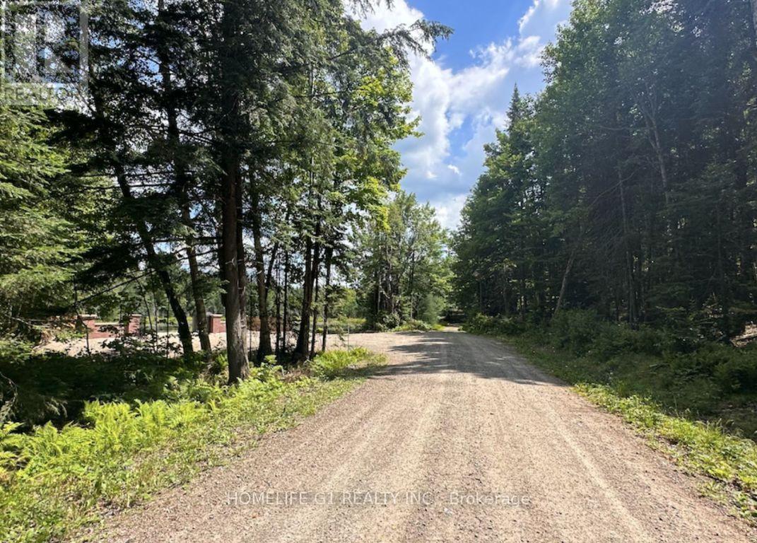 15 Axe Lake Road, Mcmurrich/monteith, Ontario  P0A 1Y0 - Photo 11 - X12850306