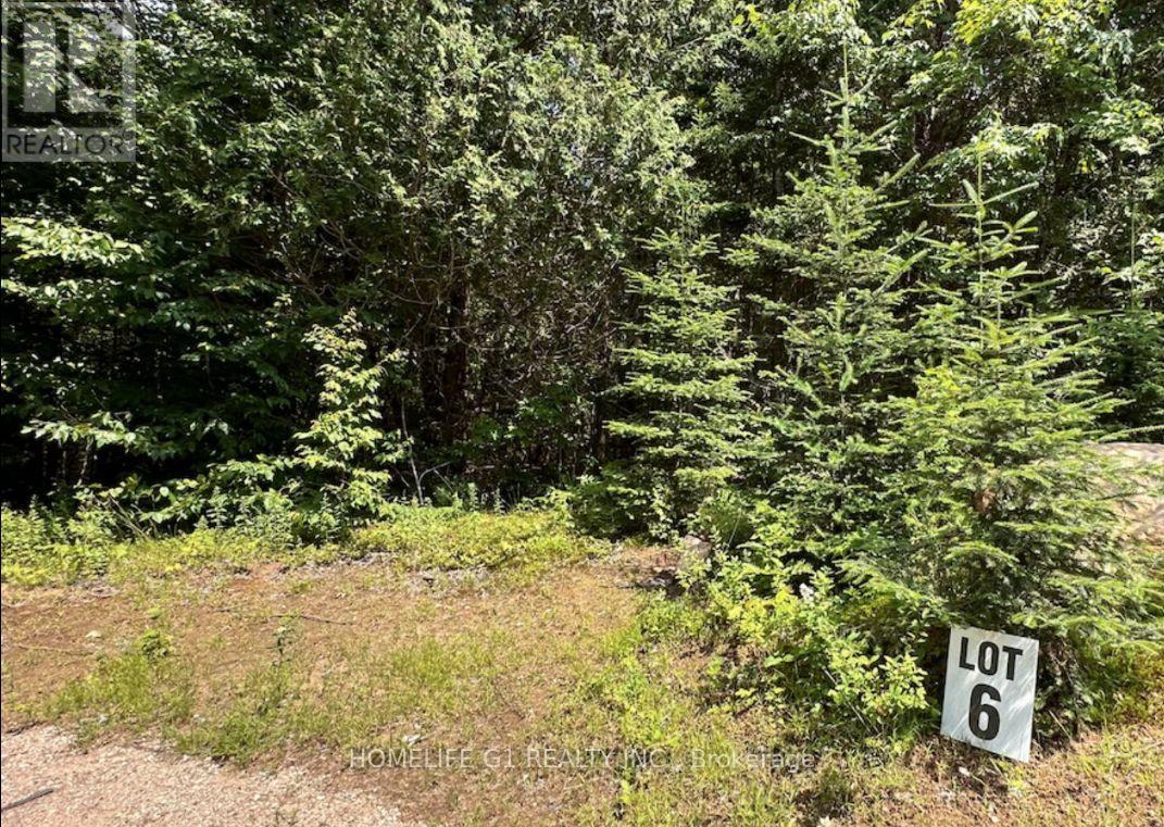 15 Axe Lake Road, Mcmurrich/monteith, Ontario  P0A 1Y0 - Photo 12 - X12850306