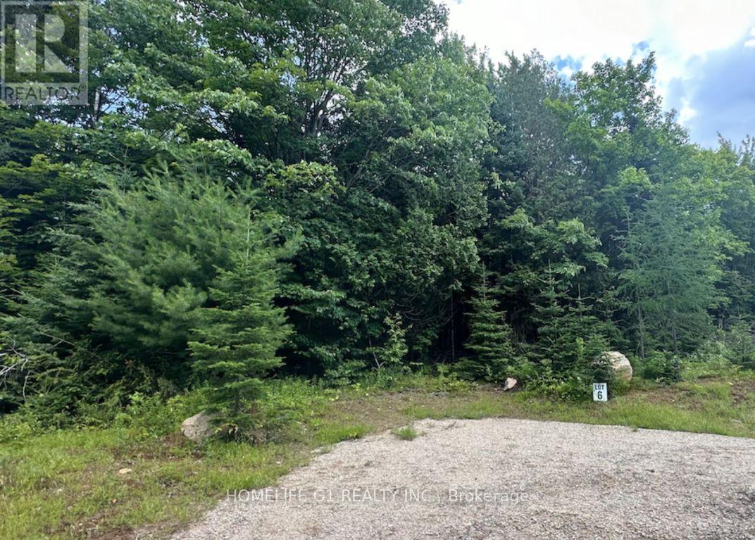 15 Axe Lake Road, Mcmurrich/monteith, Ontario  P0A 1Y0 - Photo 15 - X12850306