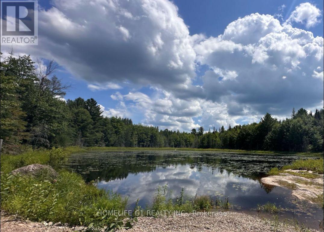 15 Axe Lake Road, Mcmurrich/monteith, Ontario  P0A 1Y0 - Photo 17 - X12850306