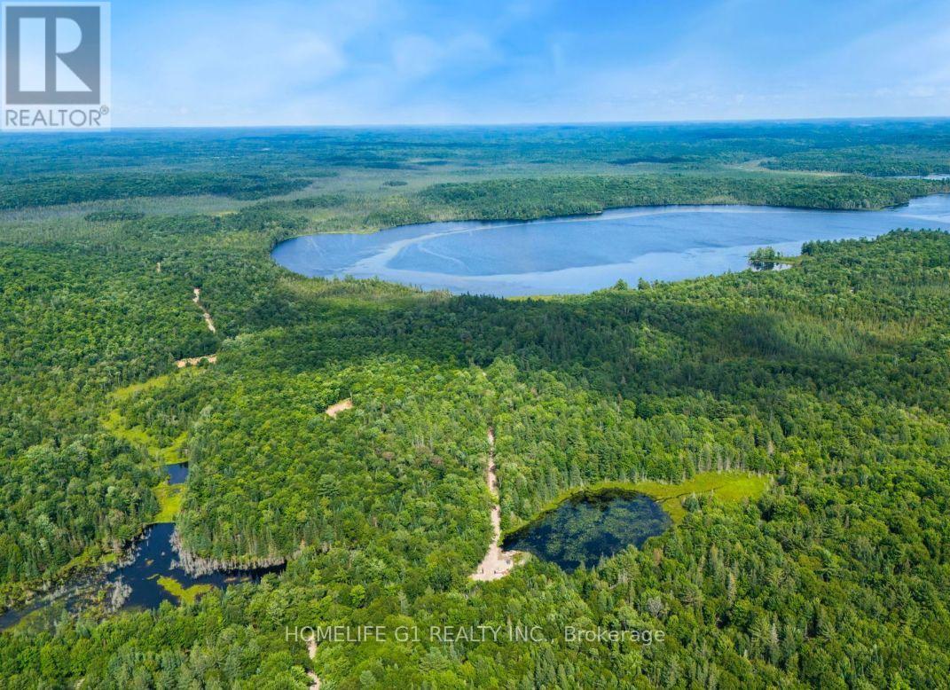 15 Axe Lake Road, Mcmurrich/monteith, Ontario  P0A 1Y0 - Photo 2 - X12850306