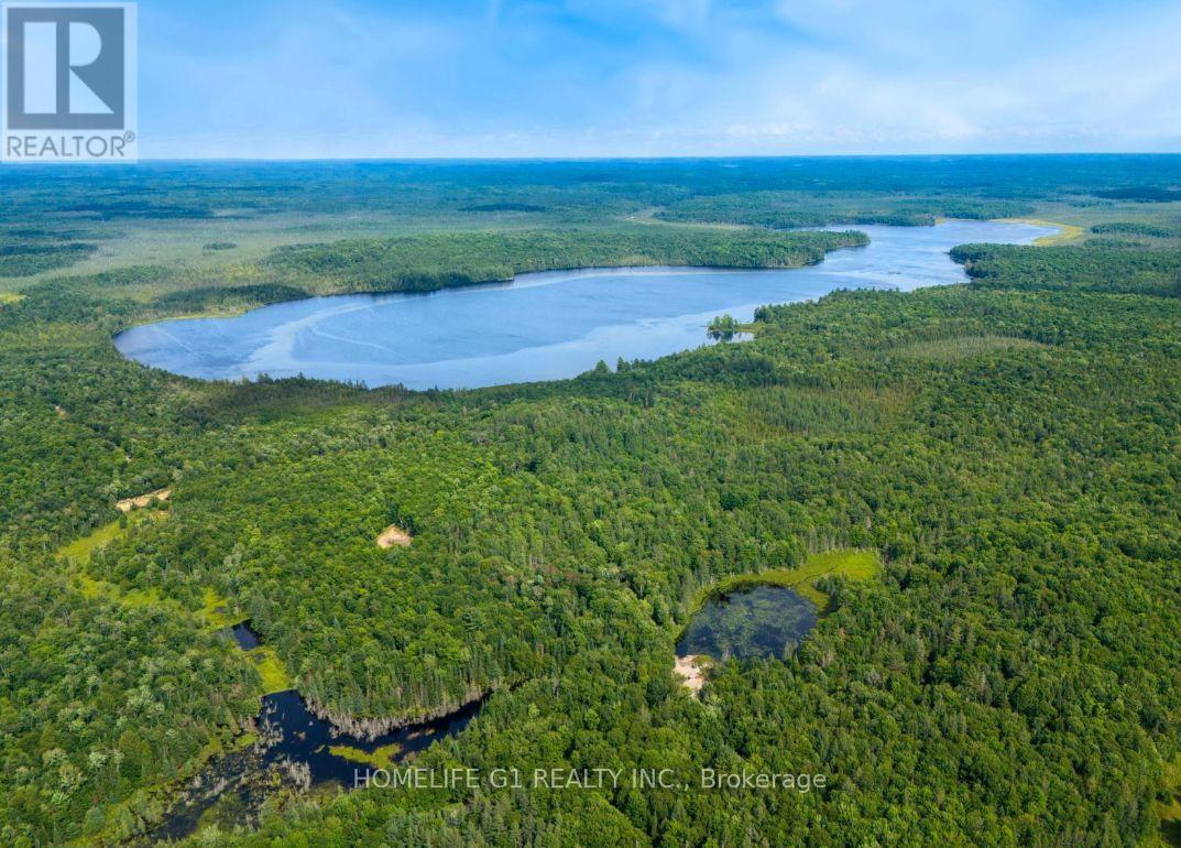 15 Axe Lake Road, Mcmurrich/monteith, Ontario  P0A 1Y0 - Photo 3 - X12850306