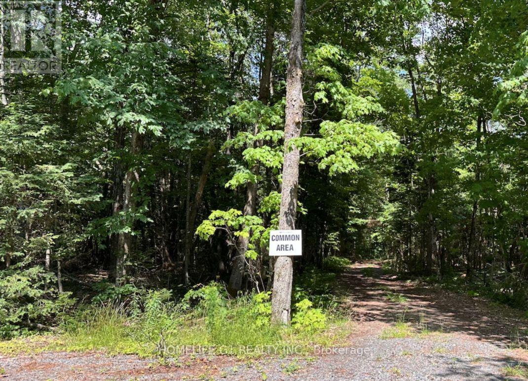 15 Axe Lake Road, Mcmurrich/monteith, Ontario  P0A 1Y0 - Photo 8 - X12850306