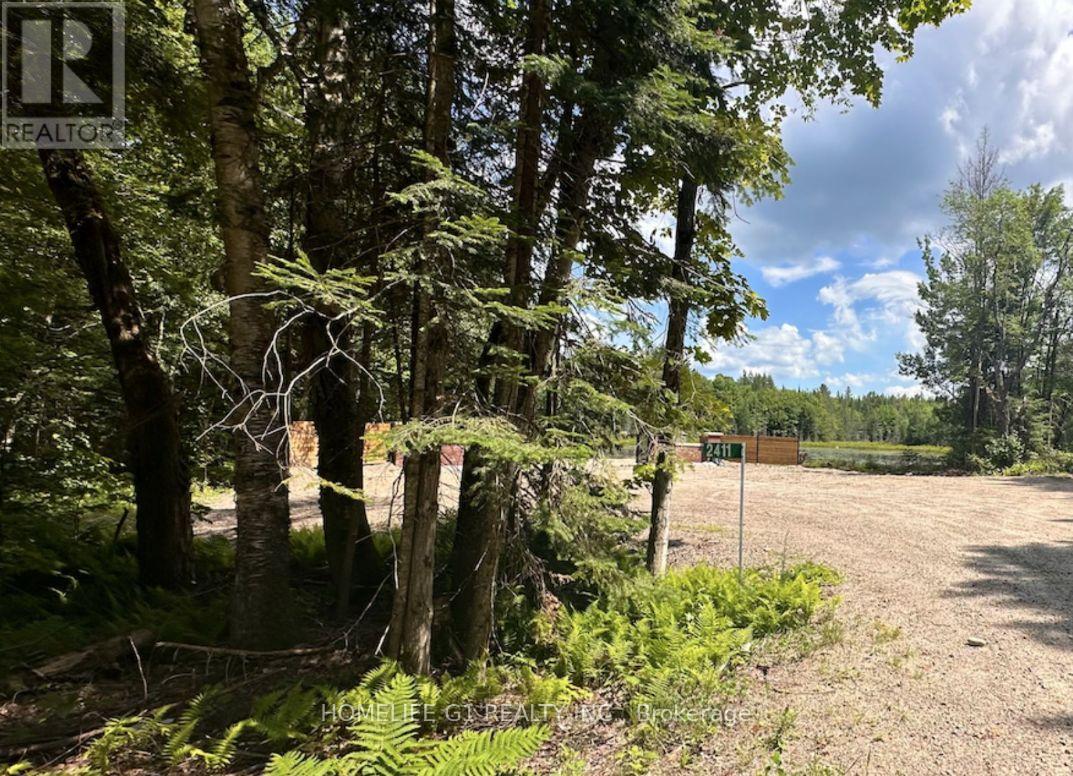 15 Axe Lake Road, Mcmurrich/monteith, Ontario  P0A 1Y0 - Photo 9 - X12850306