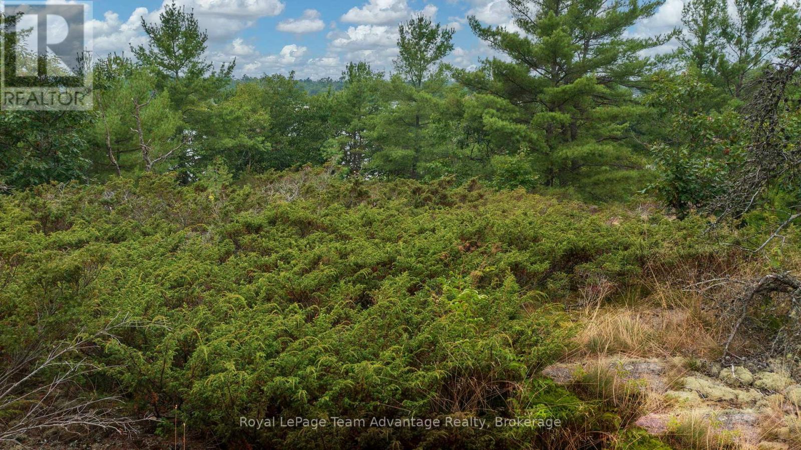 0 Channel Drive, The Archipelago, Ontario  P0G 1K0 - Photo 17 - X12850344