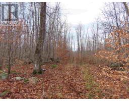 Lot 20 Concession S, Hilton, Ontario