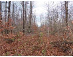 Lot 17 Concession R, Hilton Township, Ontario