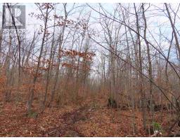 Lot 18 Concession R, Hilton Township, Ontario