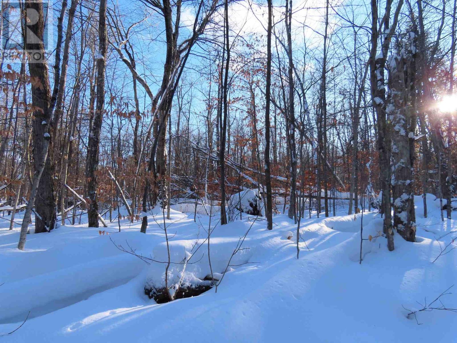 Lot 18 Concession R, Hilton Township, Ontario  P0R 1G0 - Photo 7 - SM253474