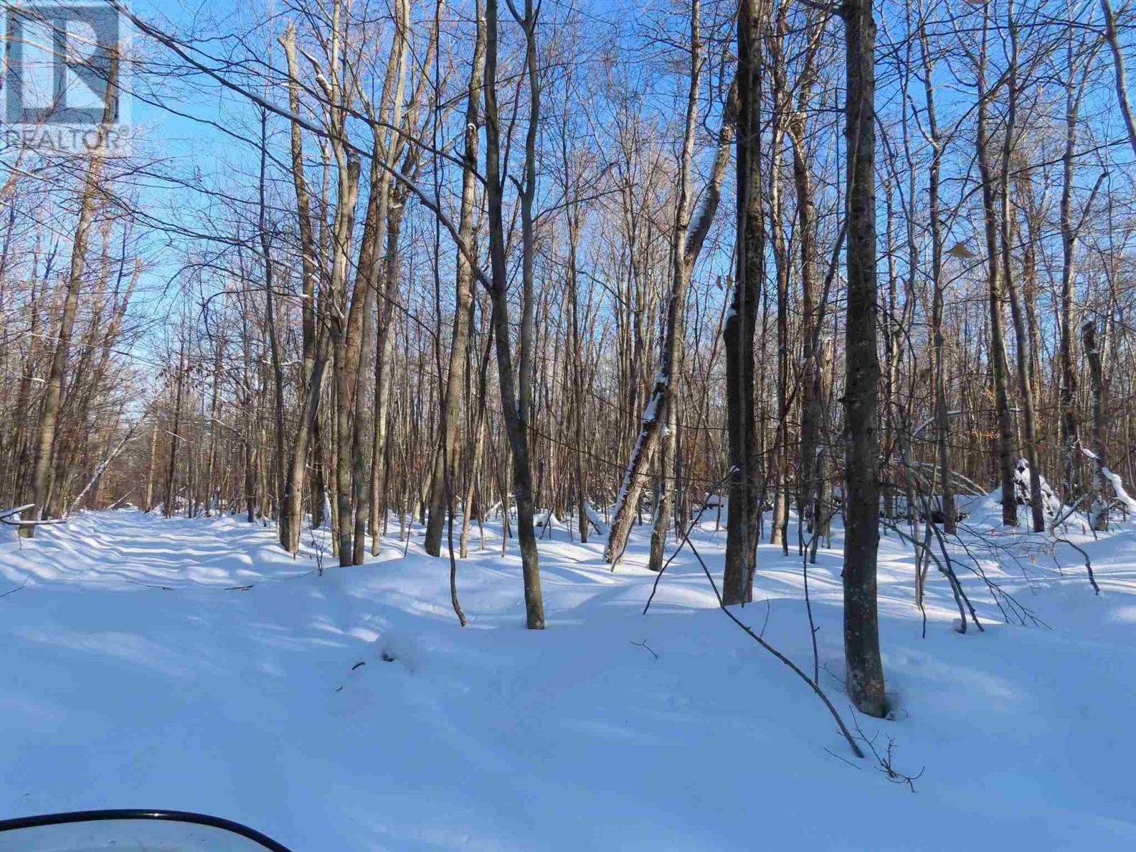 Lot 18 Concession R, Hilton Township, Ontario  P0R 1G0 - Photo 6 - SM253474