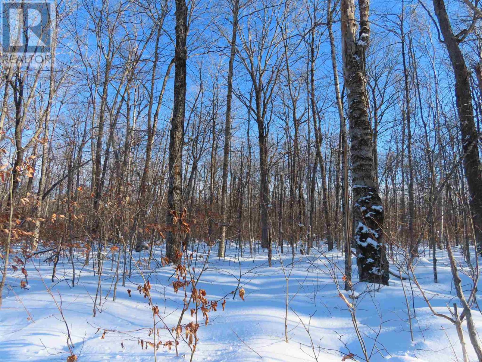 Lot 18 Concession R, Hilton Township, Ontario  P0R 1G0 - Photo 3 - SM253474