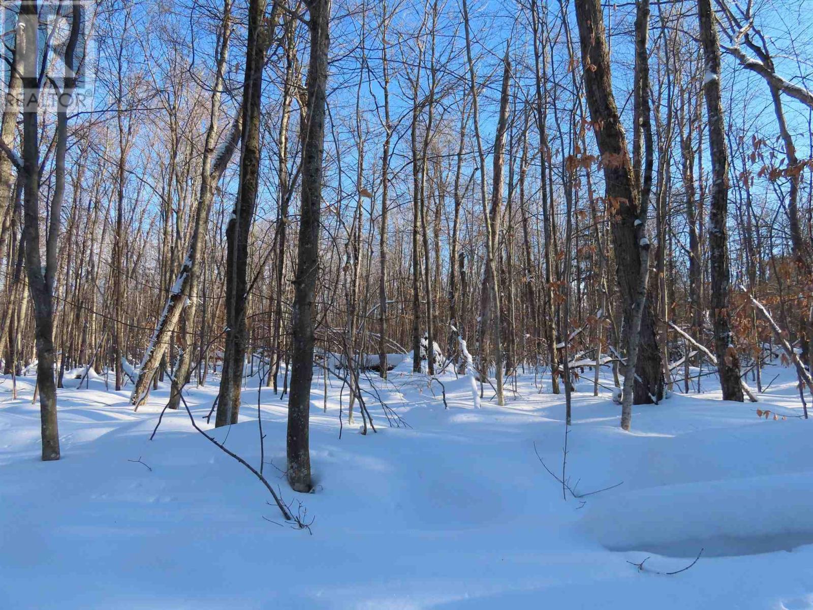 Lot 18 Concession R, Hilton Township, Ontario  P0R 1G0 - Photo 5 - SM253474