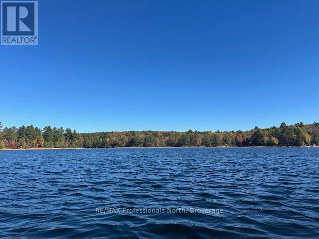 1005 Deacons Trail, Algonquin Highlands, Ontario  K0M 1J2 - Photo 25 - X12850446