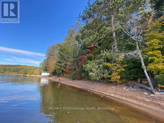 1005 Deacons Trail, Algonquin Highlands, Ontario  K0M 1J2 - Photo 30 - X12850446