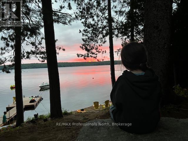 1005 Deacons Trail, Algonquin Highlands, Ontario  K0M 1J2 - Photo 36 - X12850446