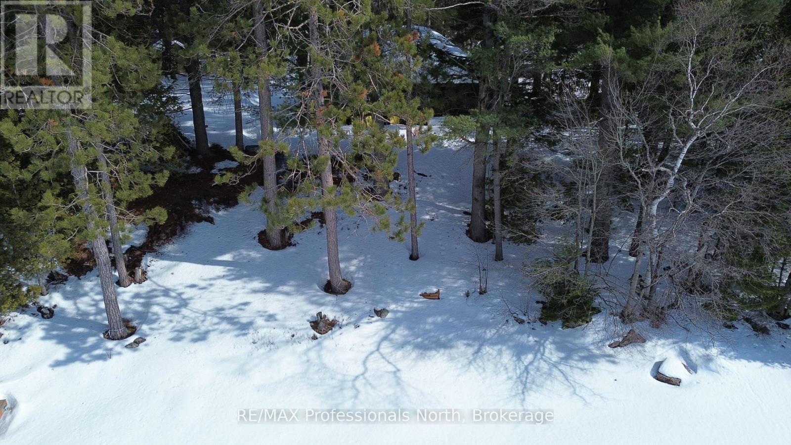 1005 Deacons Trail, Algonquin Highlands, Ontario  K0M 1J2 - Photo 19 - X12850446