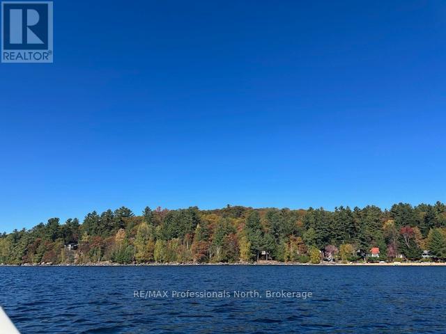 1005 Deacons Trail, Algonquin Highlands, Ontario  K0M 1J2 - Photo 24 - X12850446