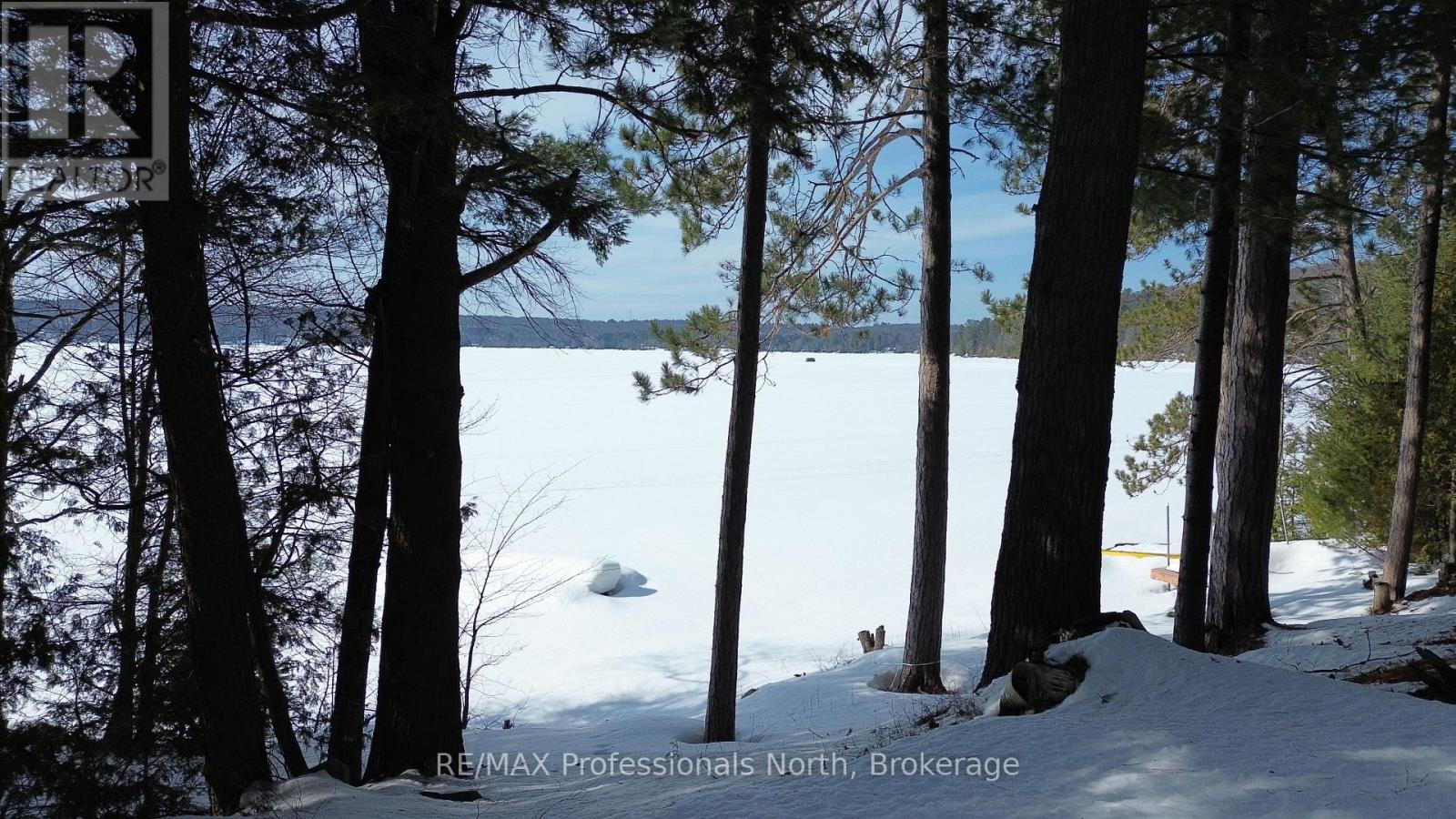 1005 Deacons Trail, Algonquin Highlands, Ontario  K0M 1J2 - Photo 17 - X12850446