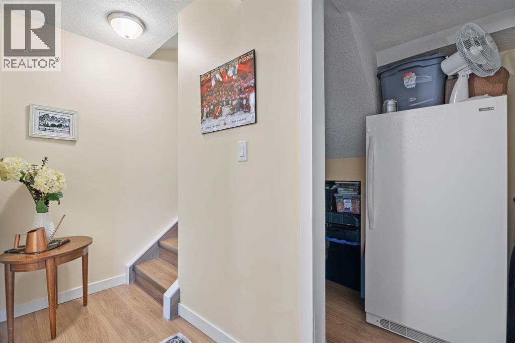 8, 50 8 Avenue Se, High River, Alberta  T1V 1E8 - Photo 20 - A2290763