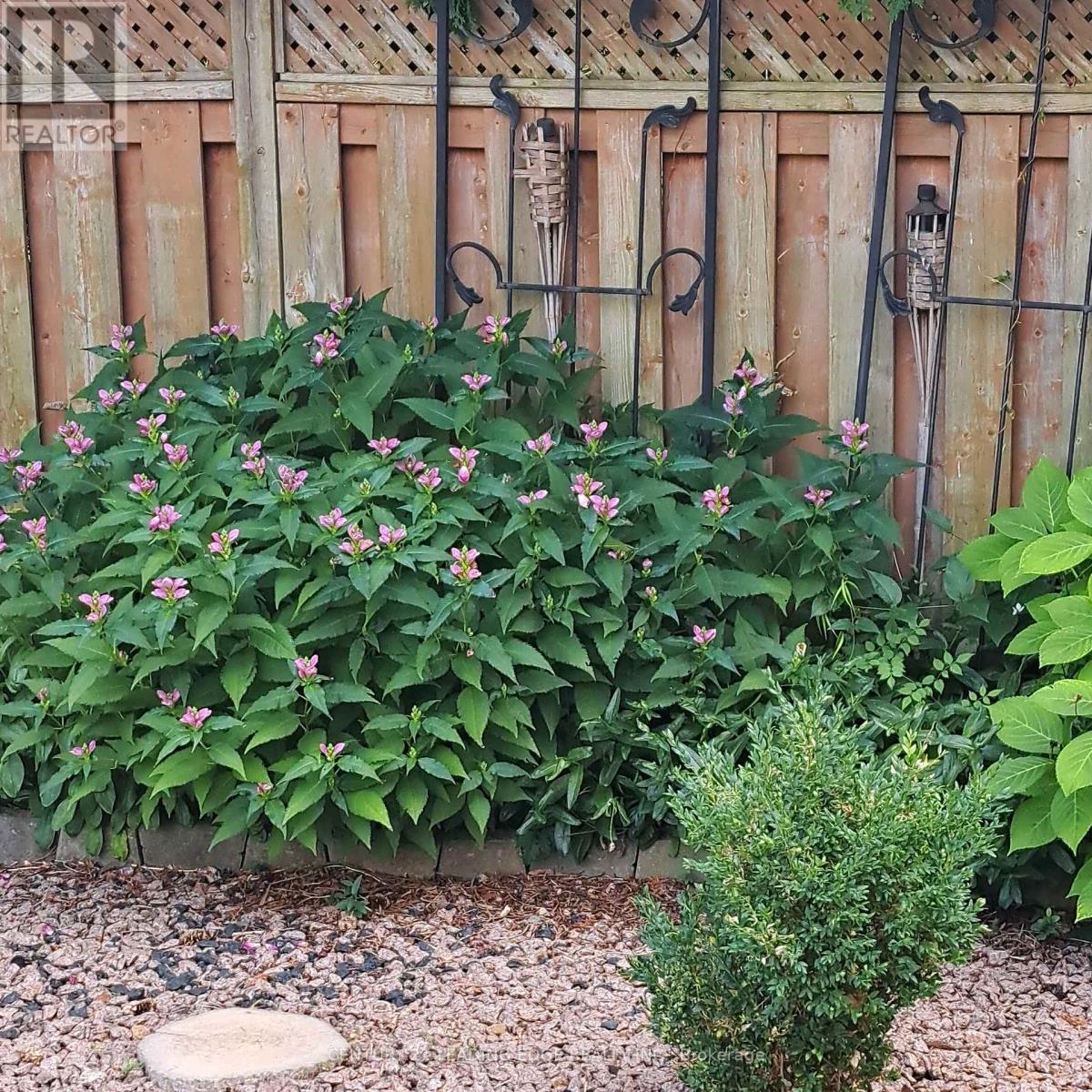 65 Forest Heights Street, Whitby, Ontario  L1R 1X4 - Photo 43 - E12850412