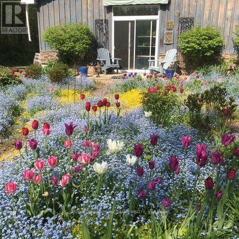 602 Elmbrook Road, Prince Edward County (Sophiasburg Ward), Ontario  K0K 2T0 - Photo 44 - X12821344