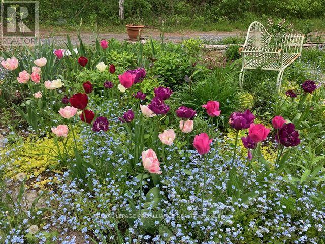 602 Elmbrook Road, Prince Edward County (Sophiasburg Ward), Ontario  K0K 2T0 - Photo 46 - X12821344