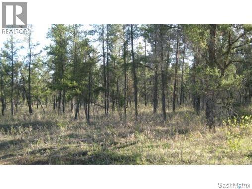 Rec lot 4/2, hudson bay rm no. 394, Saskatchewan