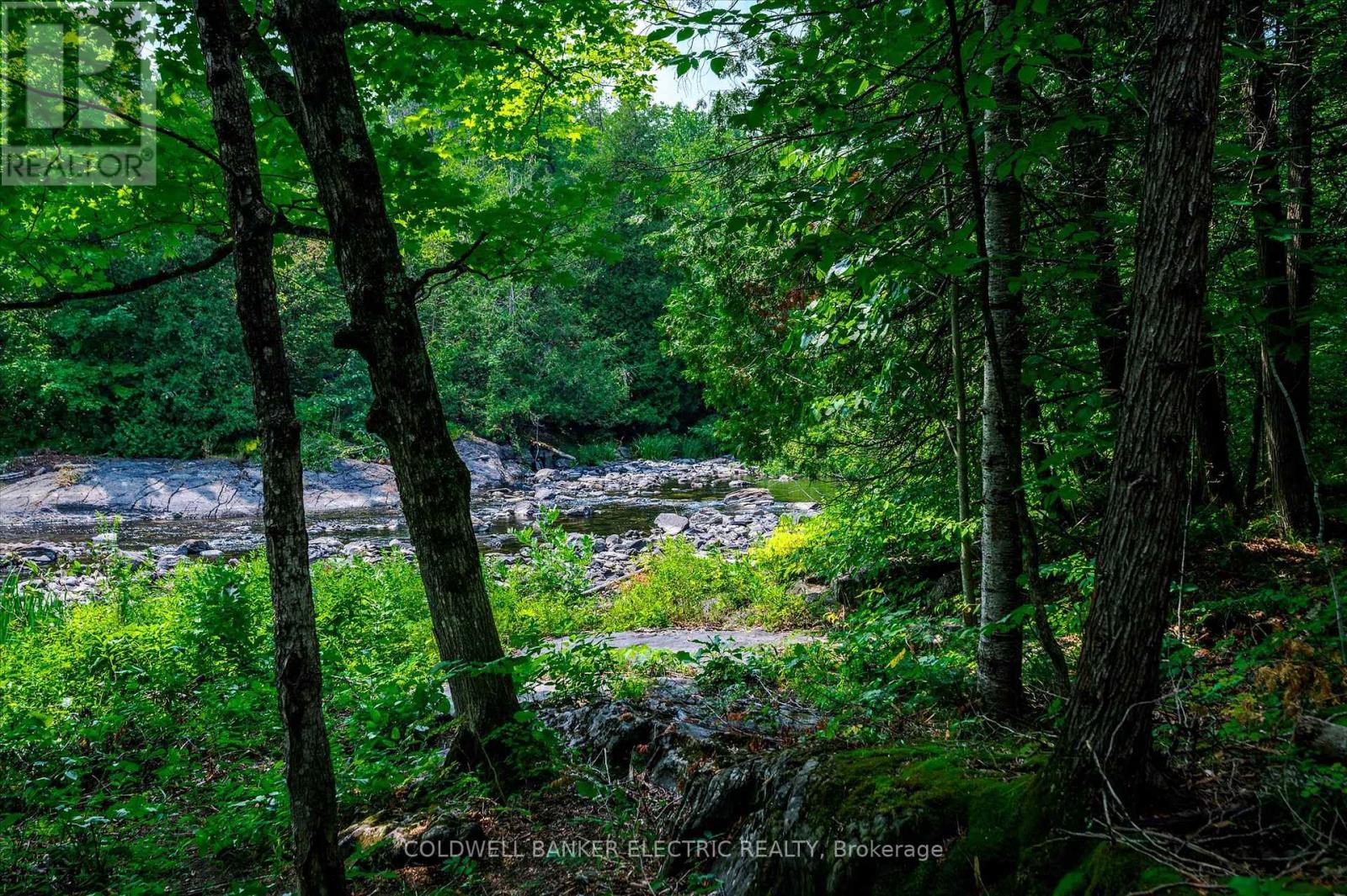 411 Fidlar Glen Road, Marmora And Lake, Ontario  K0K 2M0 - Photo 28 - X12850622