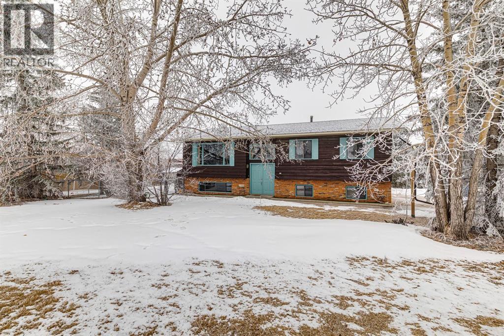 5 Big Springs Drive Se, Airdrie, Alberta  T4A 1N6 - Photo 39 - A2290910