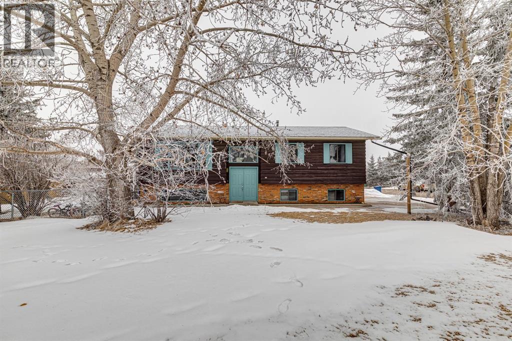 5 Big Springs Drive Se, Airdrie, Alberta  T4A 1N6 - Photo 40 - A2290910