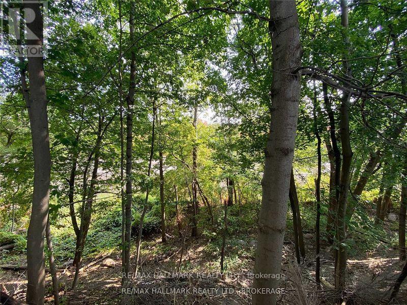 123 Leacrest Road, Toronto (Leaside), Ontario  M4G 1E7 - Photo 19 - C12850670