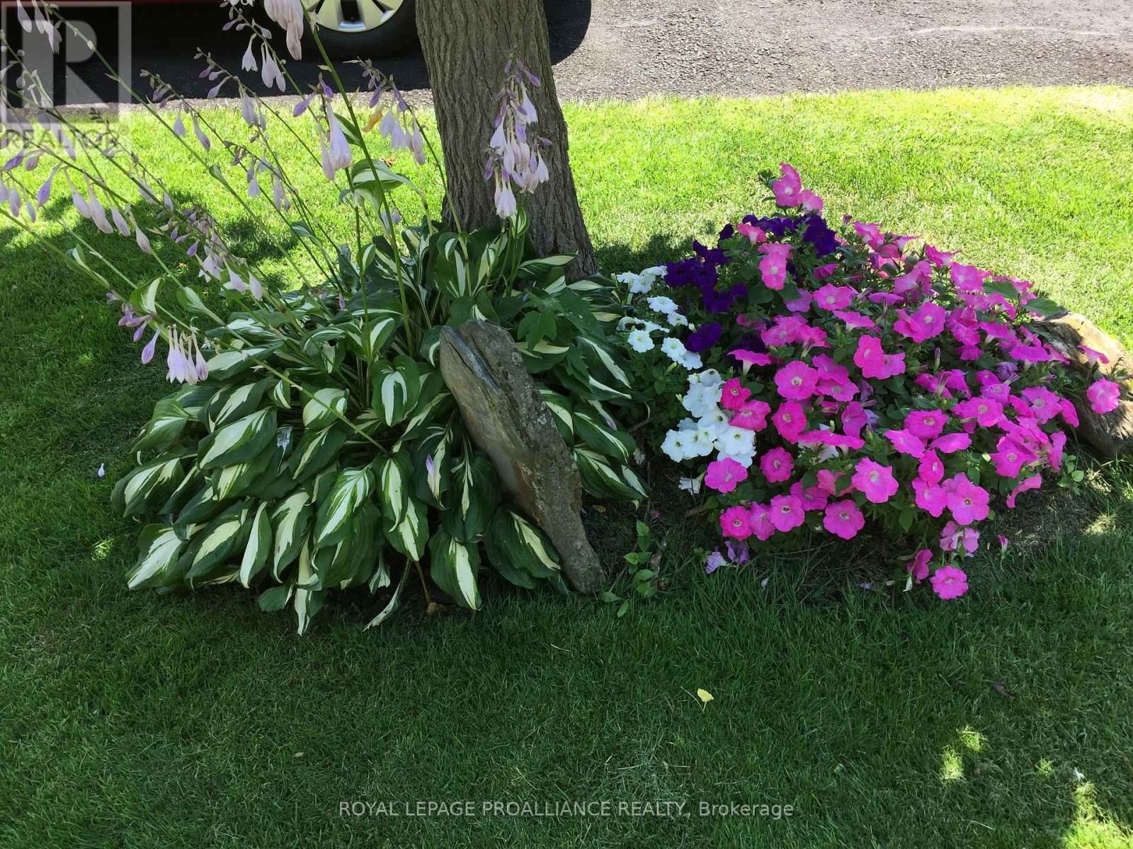 119 Lemoine Street, Belleville, Ontario  K8P 4G8 - Photo 41 - X12828736