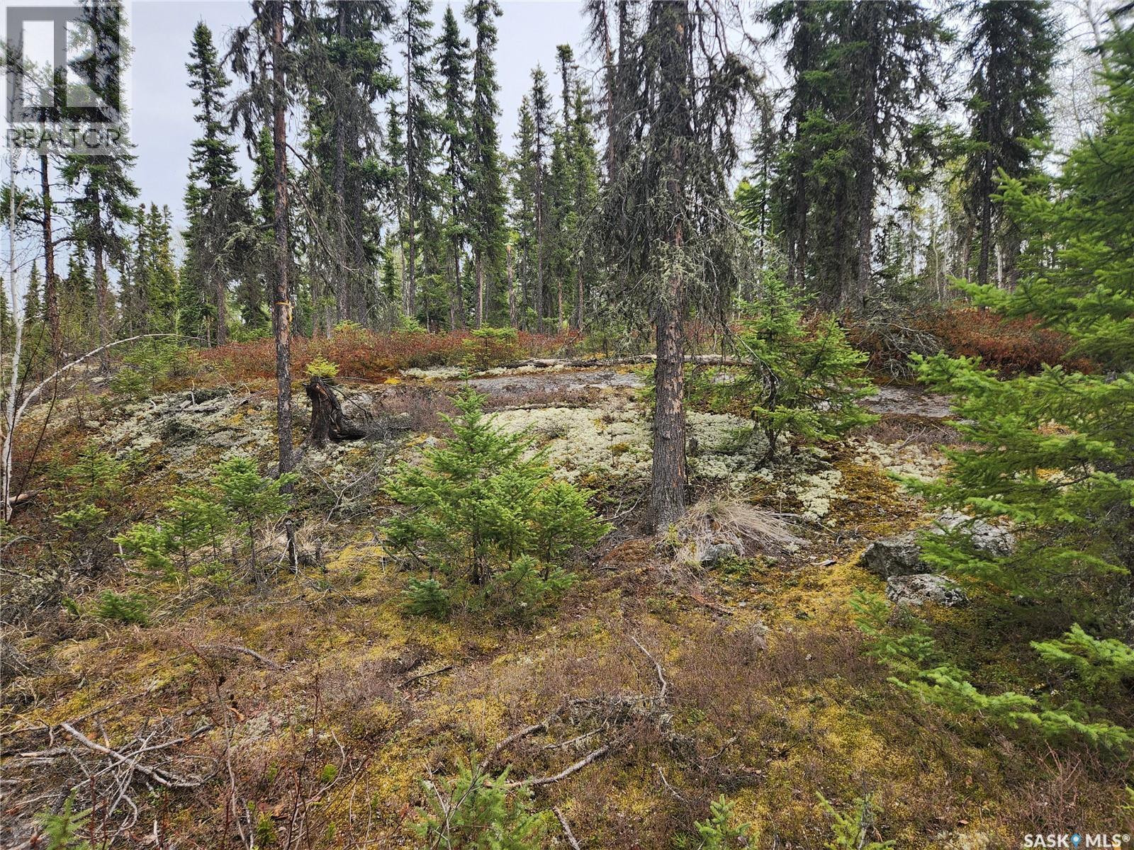 #5 Lookout Road, Northern Admin District, Saskatchewan  S0P 0A0 - Photo 41 - SK005892