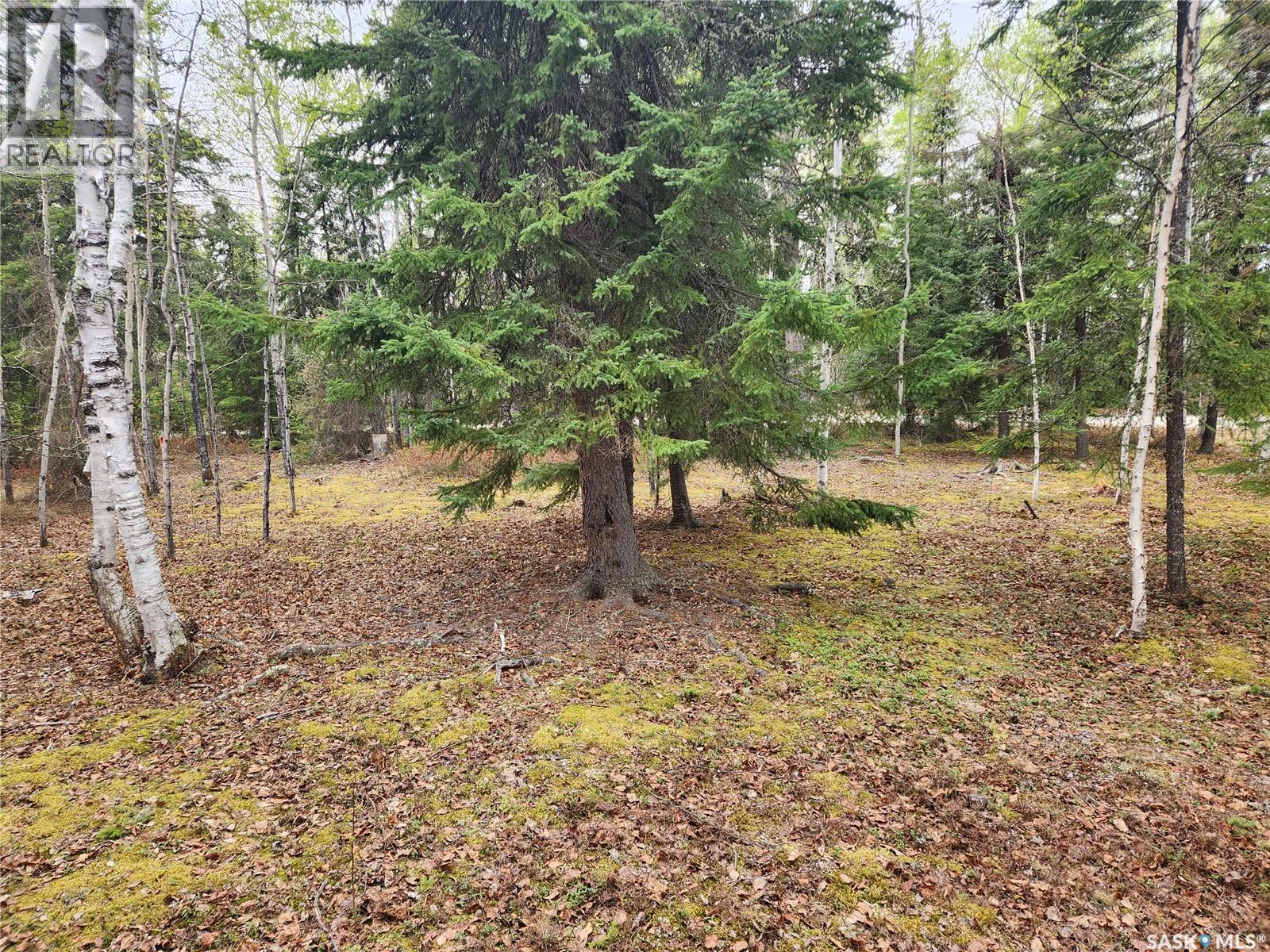 #5 Lookout Road, Northern Admin District, Saskatchewan  S0P 0A0 - Photo 27 - SK005892