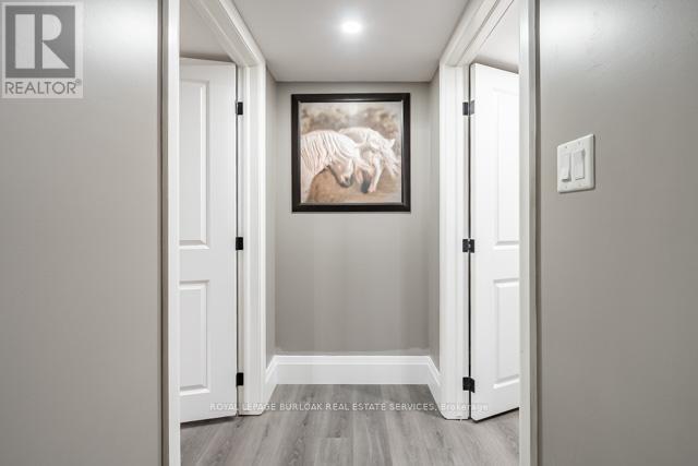 234 Burford-Delhi Townline Road, Brant, Ontario  N0E 1R0 - Photo 31 - X12850616