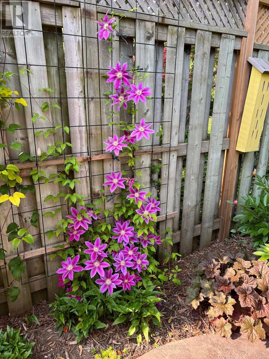 11 Greenbrier Crescent, London South, Ontario  N6J 3X6 - Photo 34 - X12850924