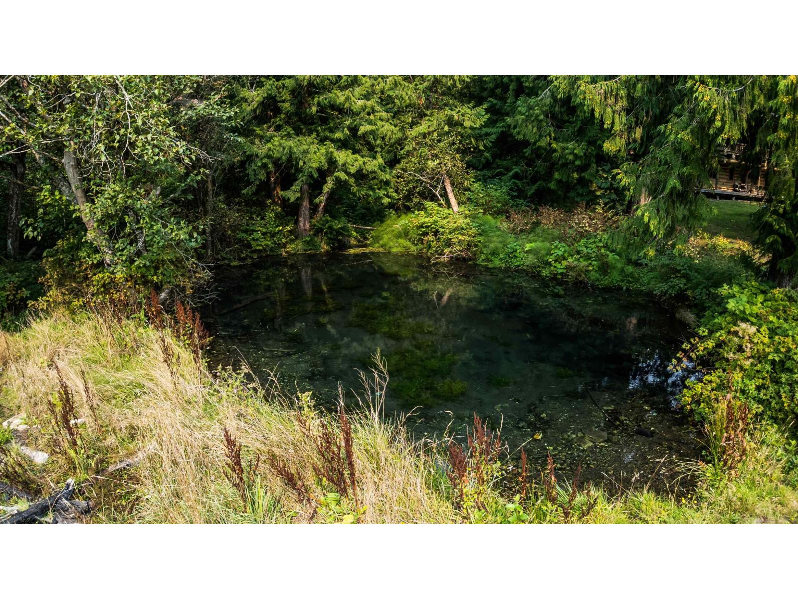 55270 Chilliwack Bench Fsr Road, Chilliwack River Valley, Chilliwack, British Columbia  V4Z 1B3 - Photo 29 - R3096091