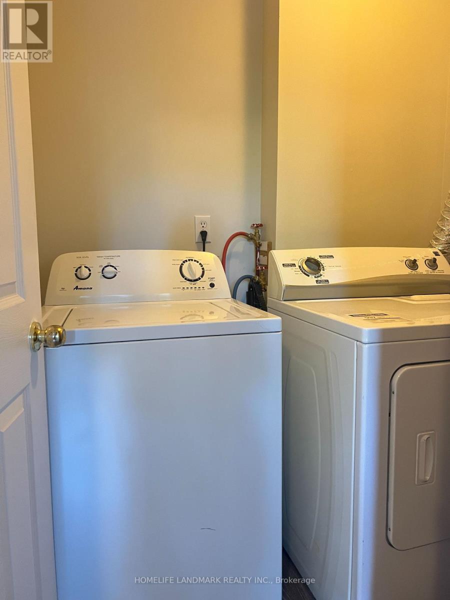 Back - 24 Eldora Avenue, Toronto, Ontario  M2M 1R4 - Photo 11 - C12850780