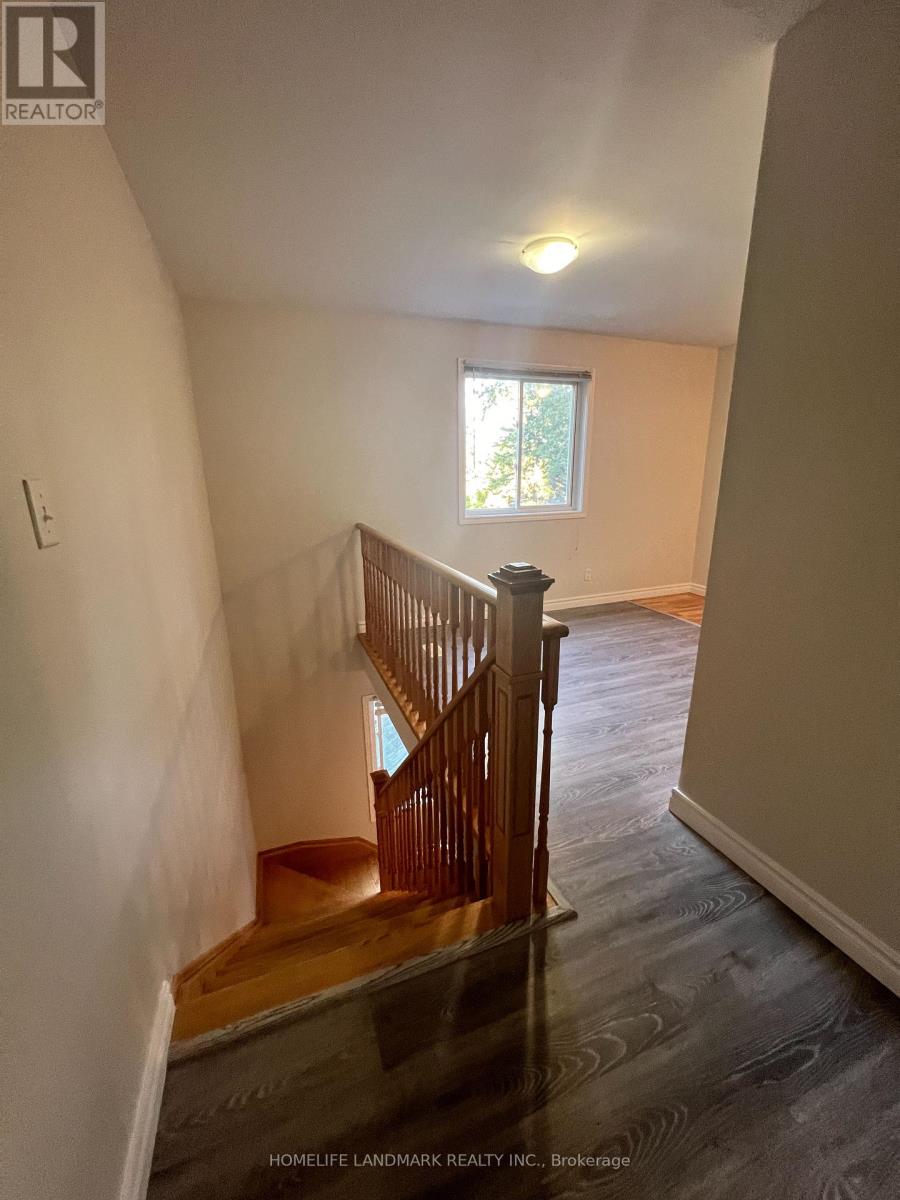 Back - 24 Eldora Avenue, Toronto, Ontario  M2M 1R4 - Photo 4 - C12850780