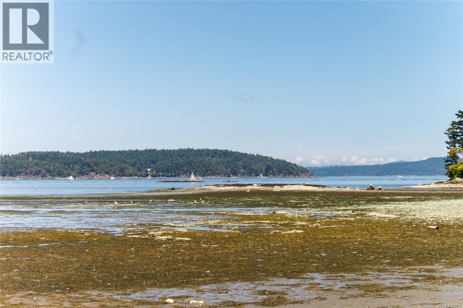 2365 Lovell Ave, Sidney, British Columbia  V8L 2J5 - Photo 36 - 1021474