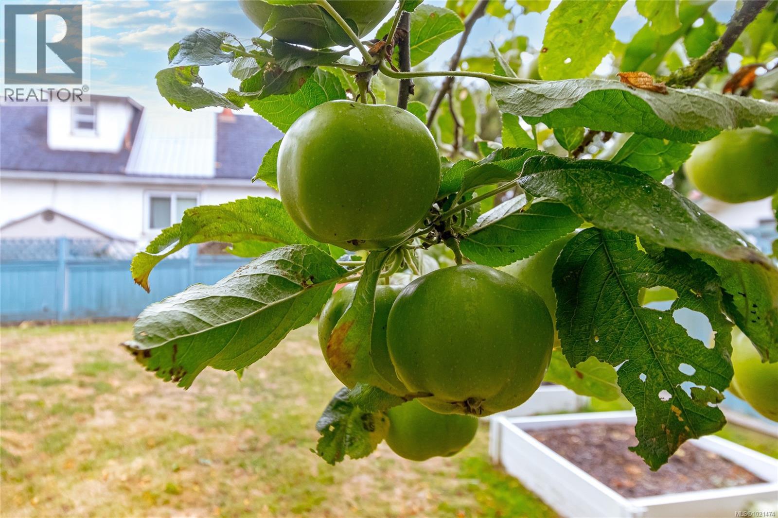 2365 Lovell Ave, Sidney, British Columbia  V8L 2J5 - Photo 28 - 1021474