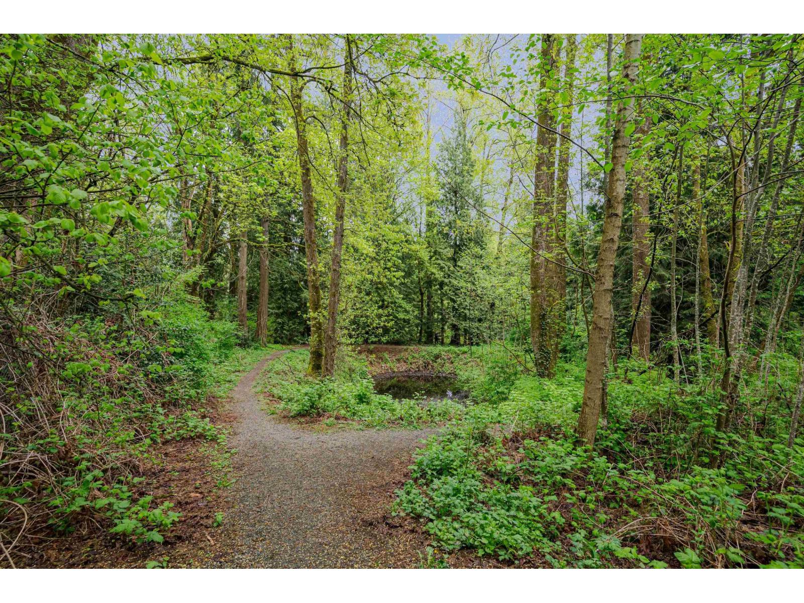 204 33328 E Bourquin Crescent, Abbotsford, British Columbia  V2S 1Y1 - Photo 26 - R3096605