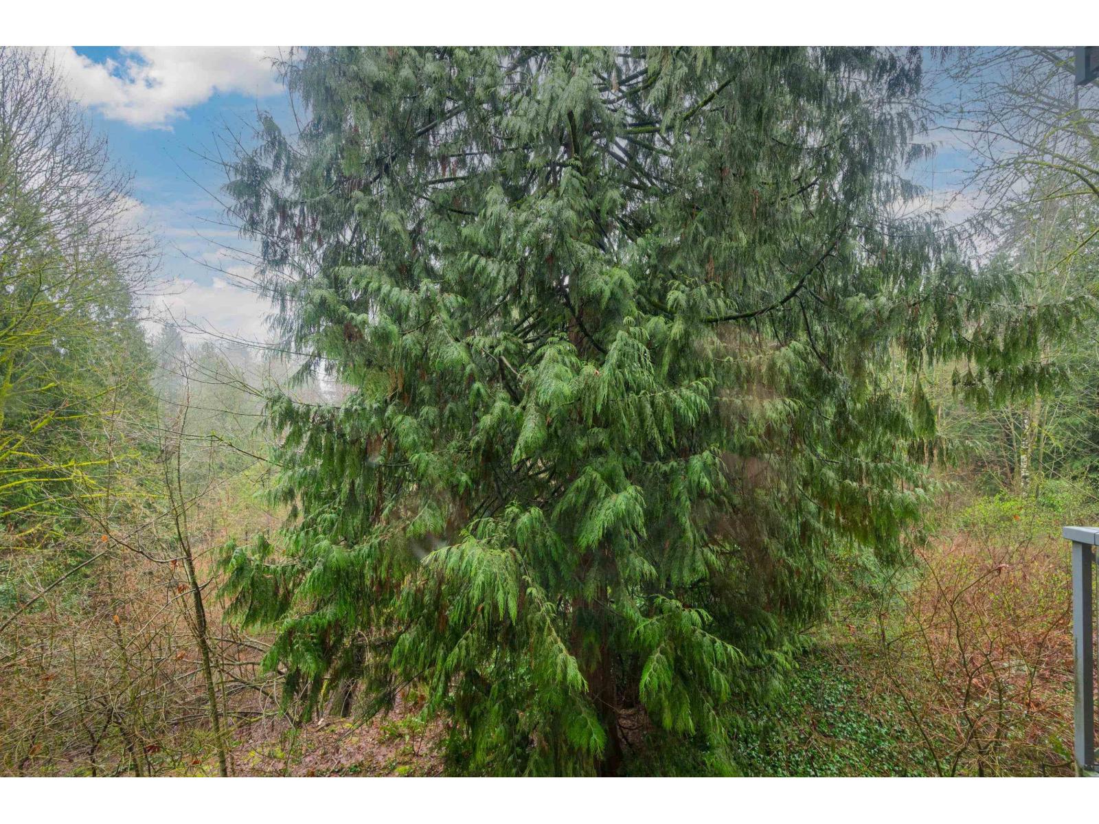 204 33328 E Bourquin Crescent, Abbotsford, British Columbia  V2S 1Y1 - Photo 30 - R3096605