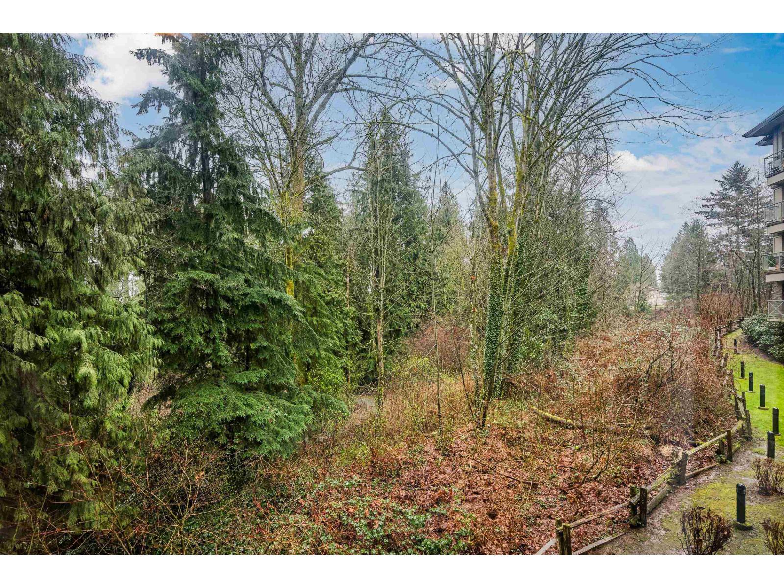 204 33328 E Bourquin Crescent, Abbotsford, British Columbia  V2S 1Y1 - Photo 29 - R3096605