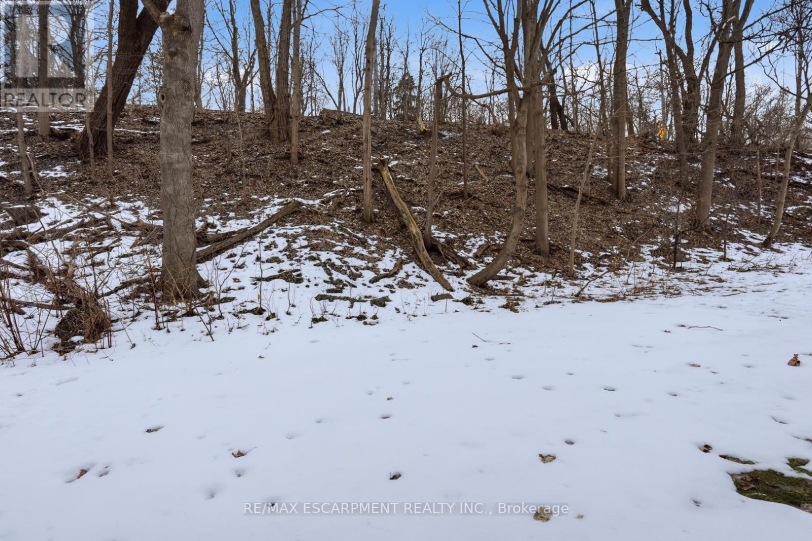 24 - 30 Osler Drive, Hamilton, Ontario  L9H 6W3 - Photo 34 - X12850764