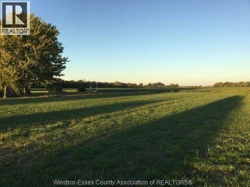 949 West Shore Road, Pelee Island, Ontario  N0R 1M0 - Photo 5 - 26004003