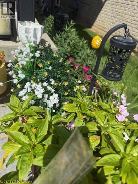 105 Pinnacle Drive Unit# 10, Kitchener, Ontario  N2P 1B8 - Photo 47 - 40806877